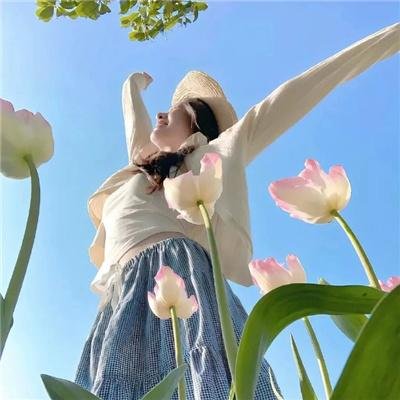 泡芙小姐第四季